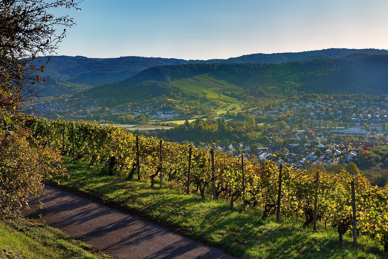 Foto Zwischen Stuttgart und Calw
