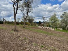 Grundst�ck Exklusives Baugrundst�ck in Calw-Holzbronn mit Feldrandlage und genehmigter Projektierung